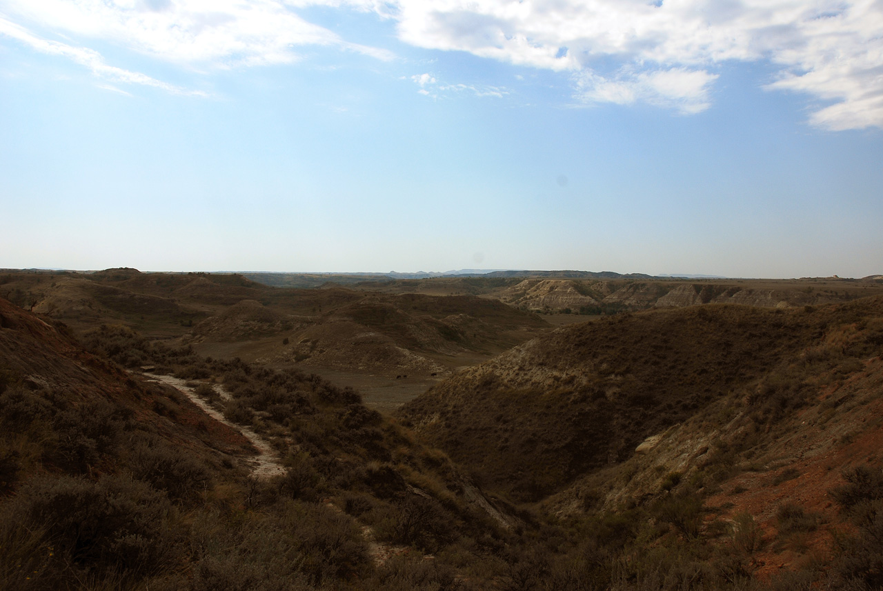 2012-08-28, 029, Theodore Roosevelt NP