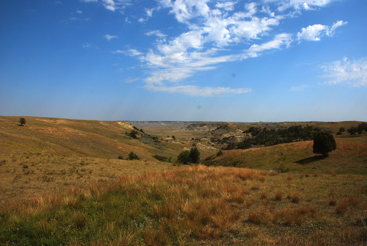 2012-08-28, 039, Theodore Roosevelt NP