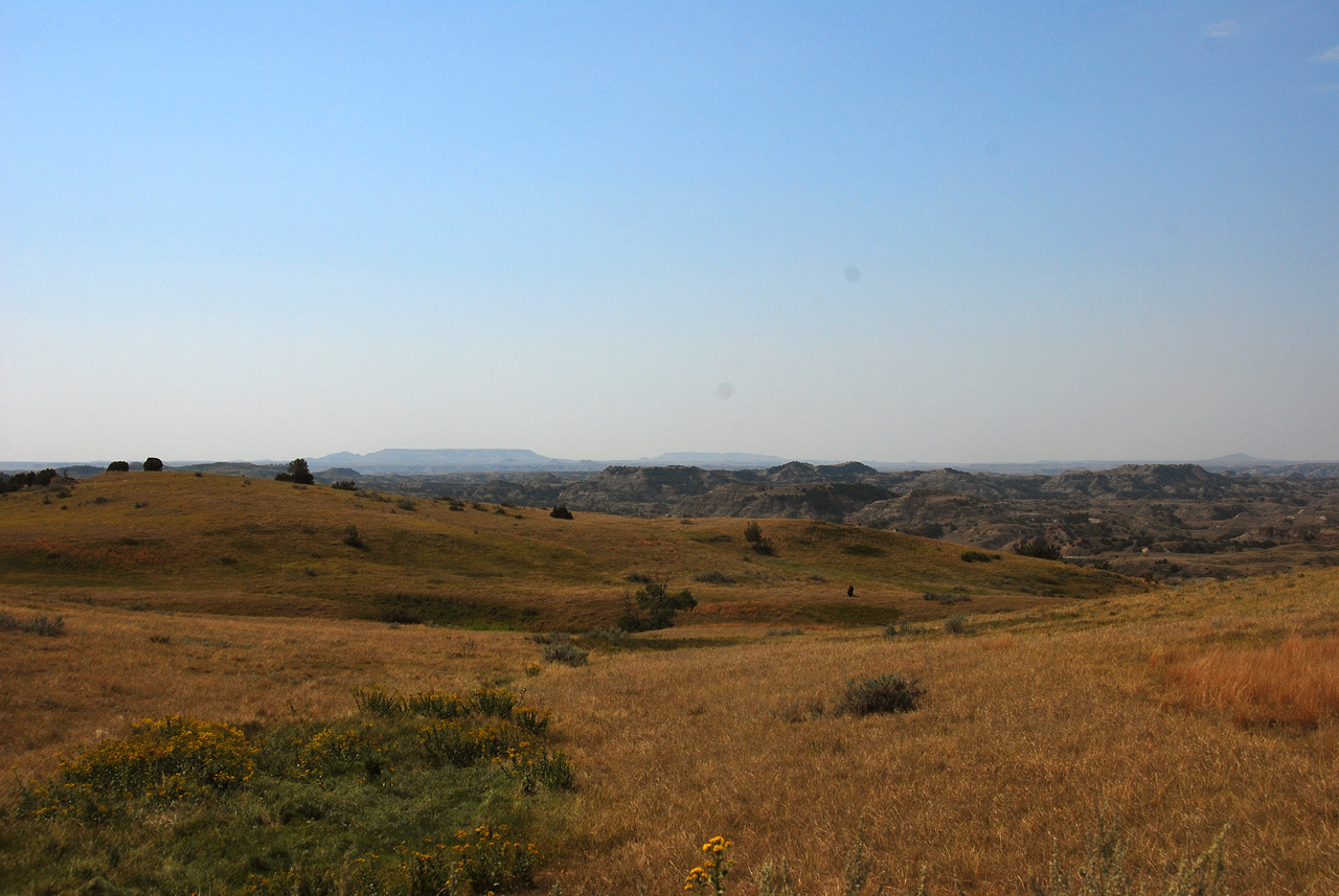2012-08-28, 042, Theodore Roosevelt NP