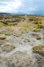 2012-09-10, 042, Oregon Trail, WY