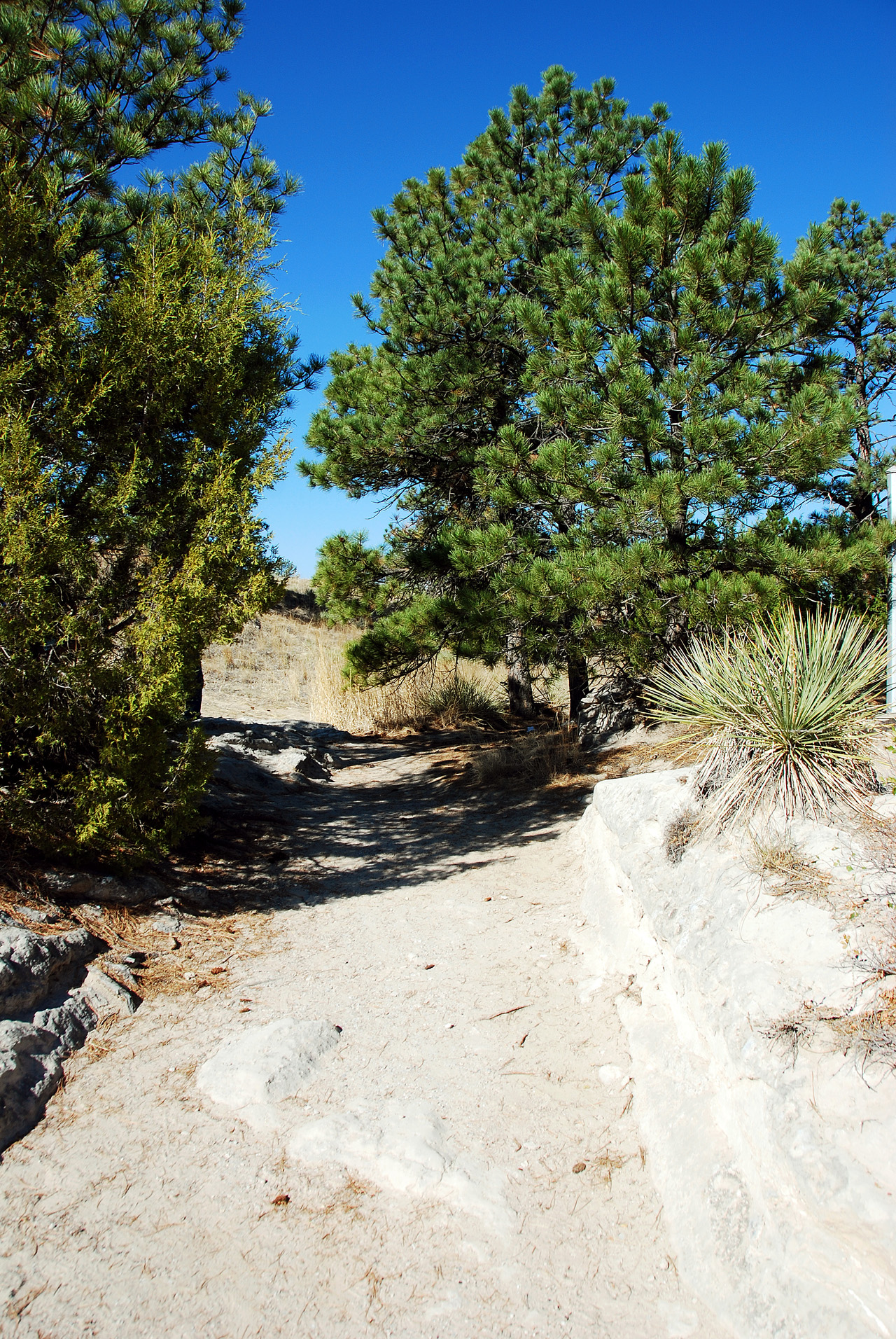2012-09-14, 006, Oregon Trail Ruts, WY