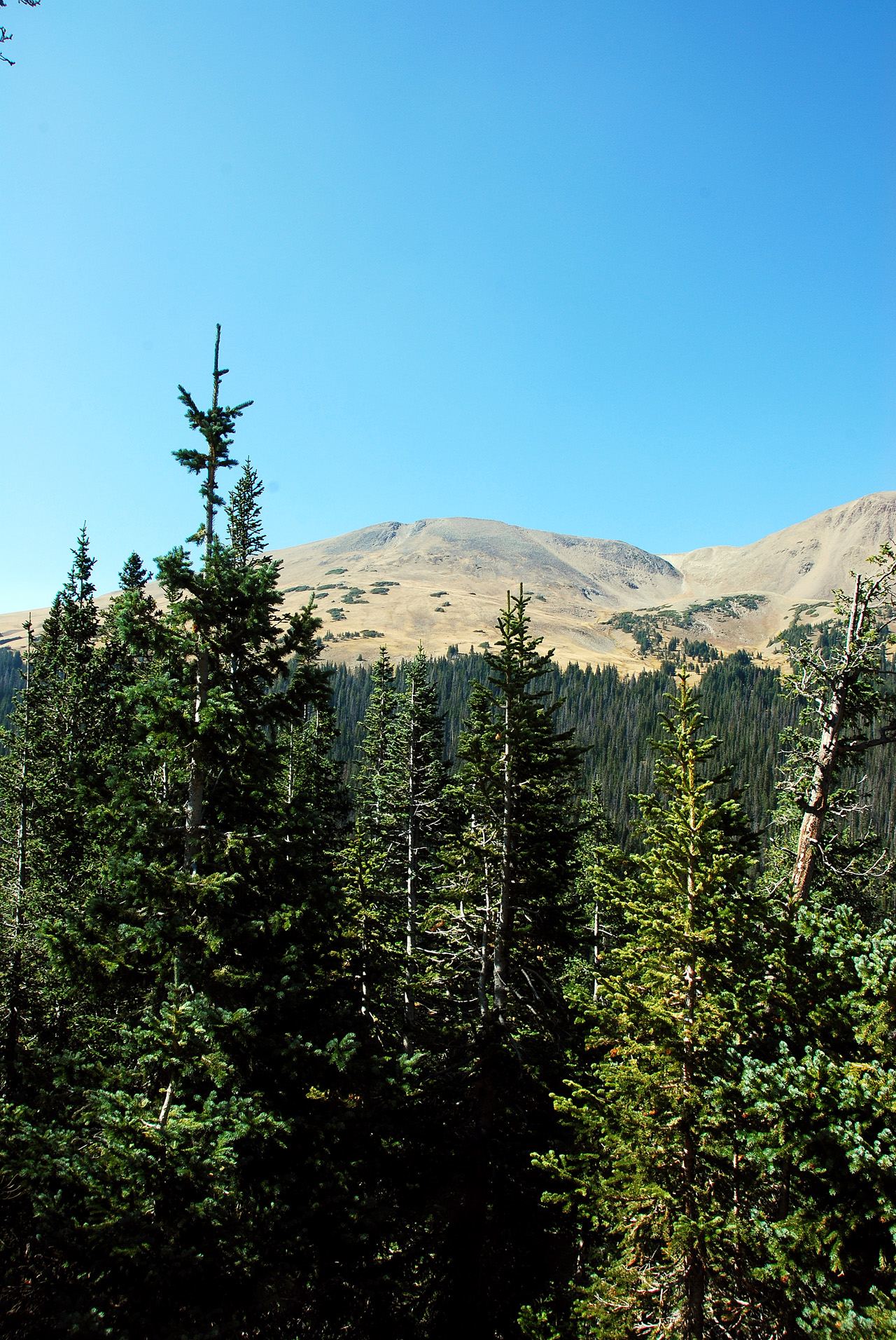 2012-09-18, 034, Trail Ridge Road