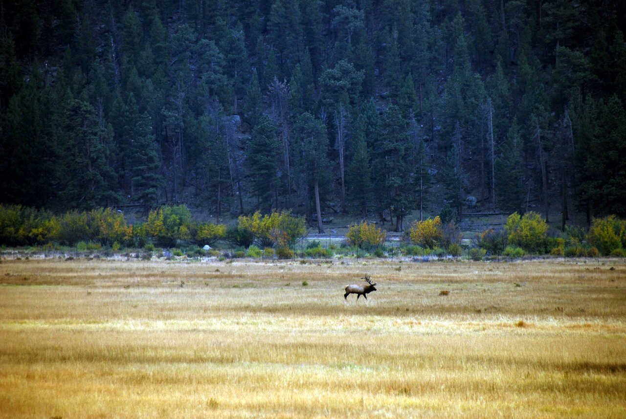 2012-09-19, 013, Moraine Park