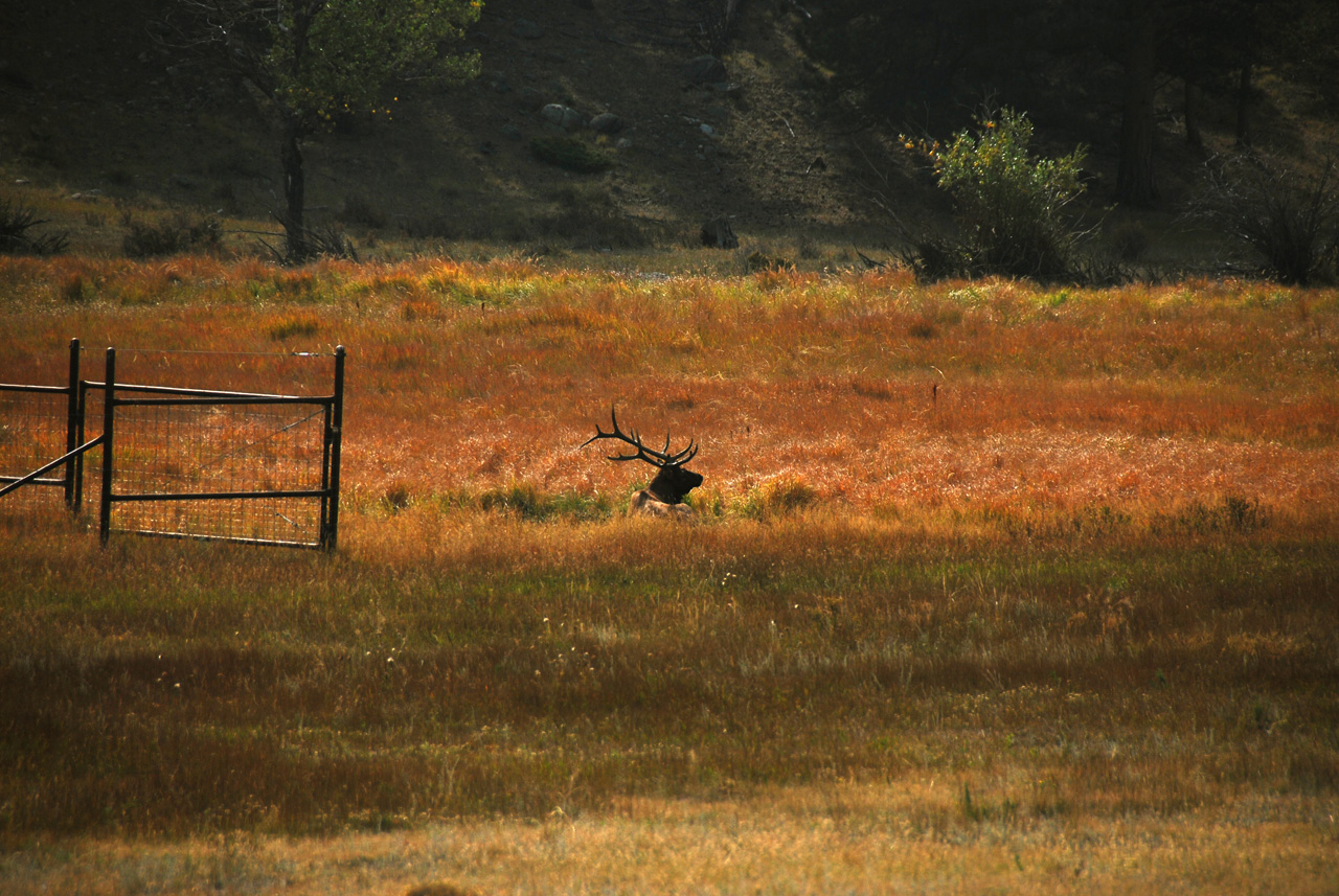 2012-09-19, 017, Rocky Mountain Nat. Park