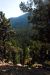 2012-09-18, 010, Old Fall River Road