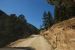 2012-09-18, 011, Old Fall River Road