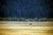 2012-09-19, 013, Moraine Park