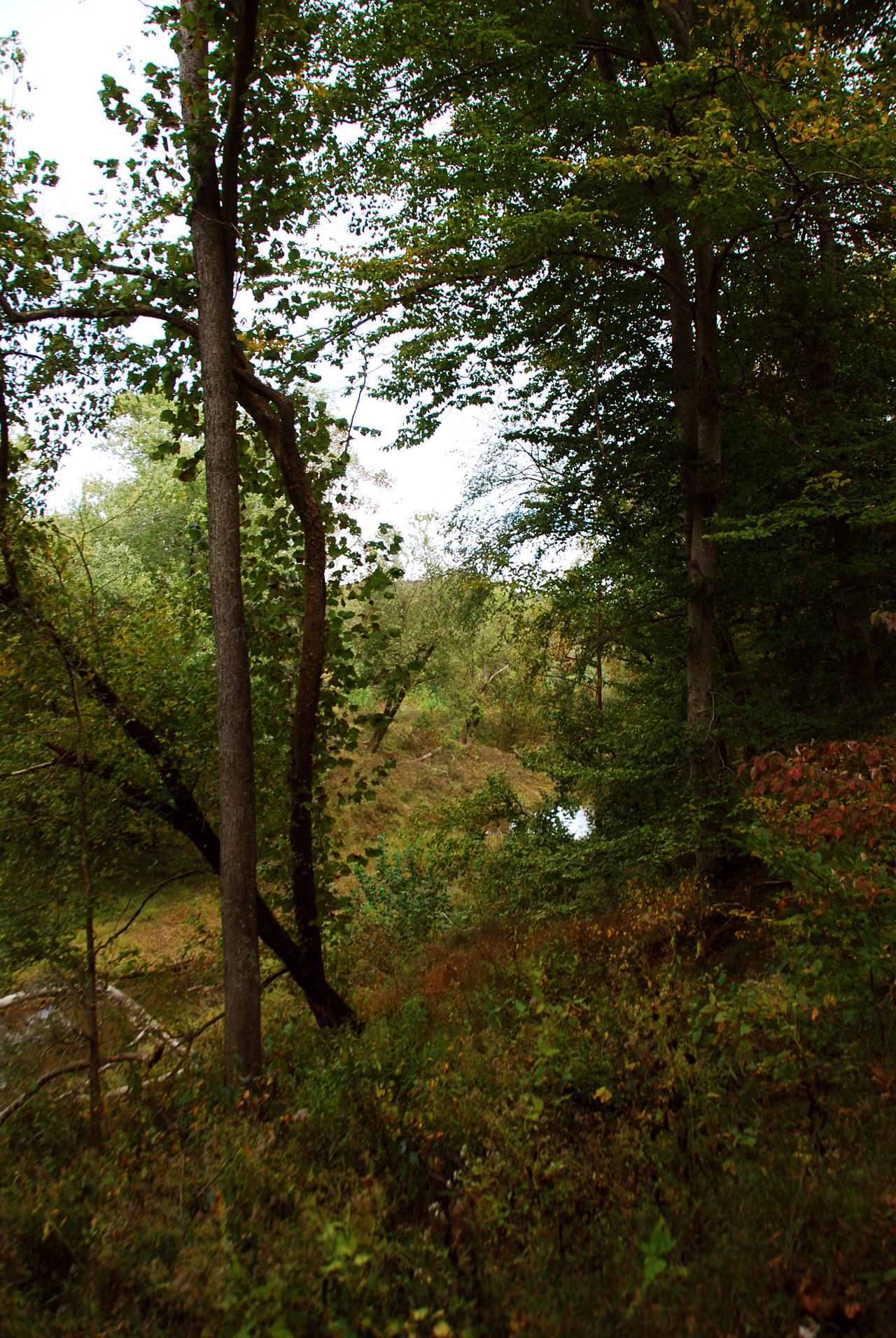 2012-10-12, 016, Mammoth Cave NP, KY