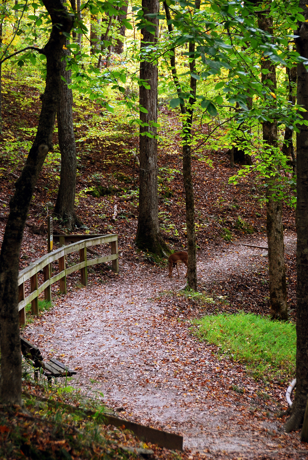 2012-10-12, 023, Mammoth Cave NP, KY