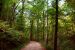 2012-10-12, 010, Mammoth Cave NP, KY