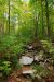 2012-10-12, 020, Mammoth Cave NP, KY