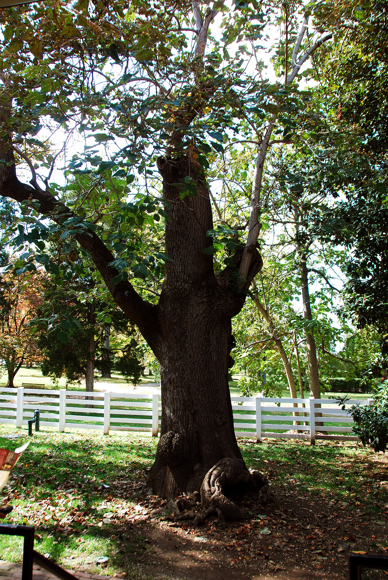 2012-10-15, 019, The Hermitage, TN