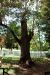 2012-10-15, 019, The Hermitage, TN