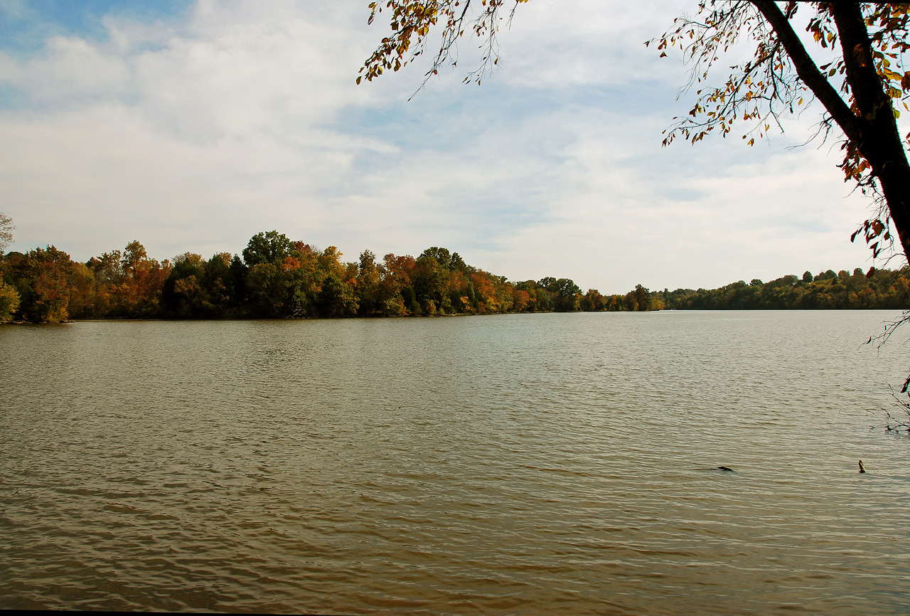 2012-10-16, 004, Bledsoe State Park