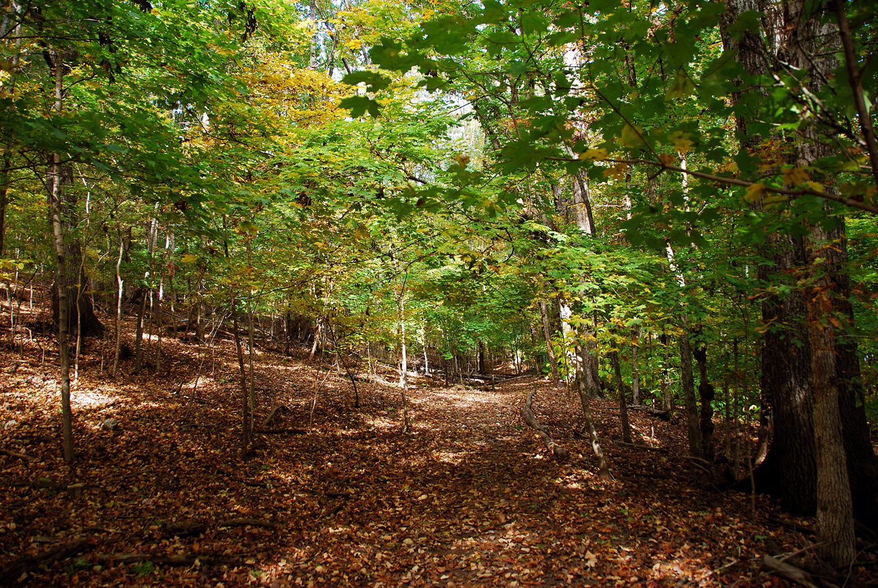 2012-10-16, 005, Bledsoe State Park