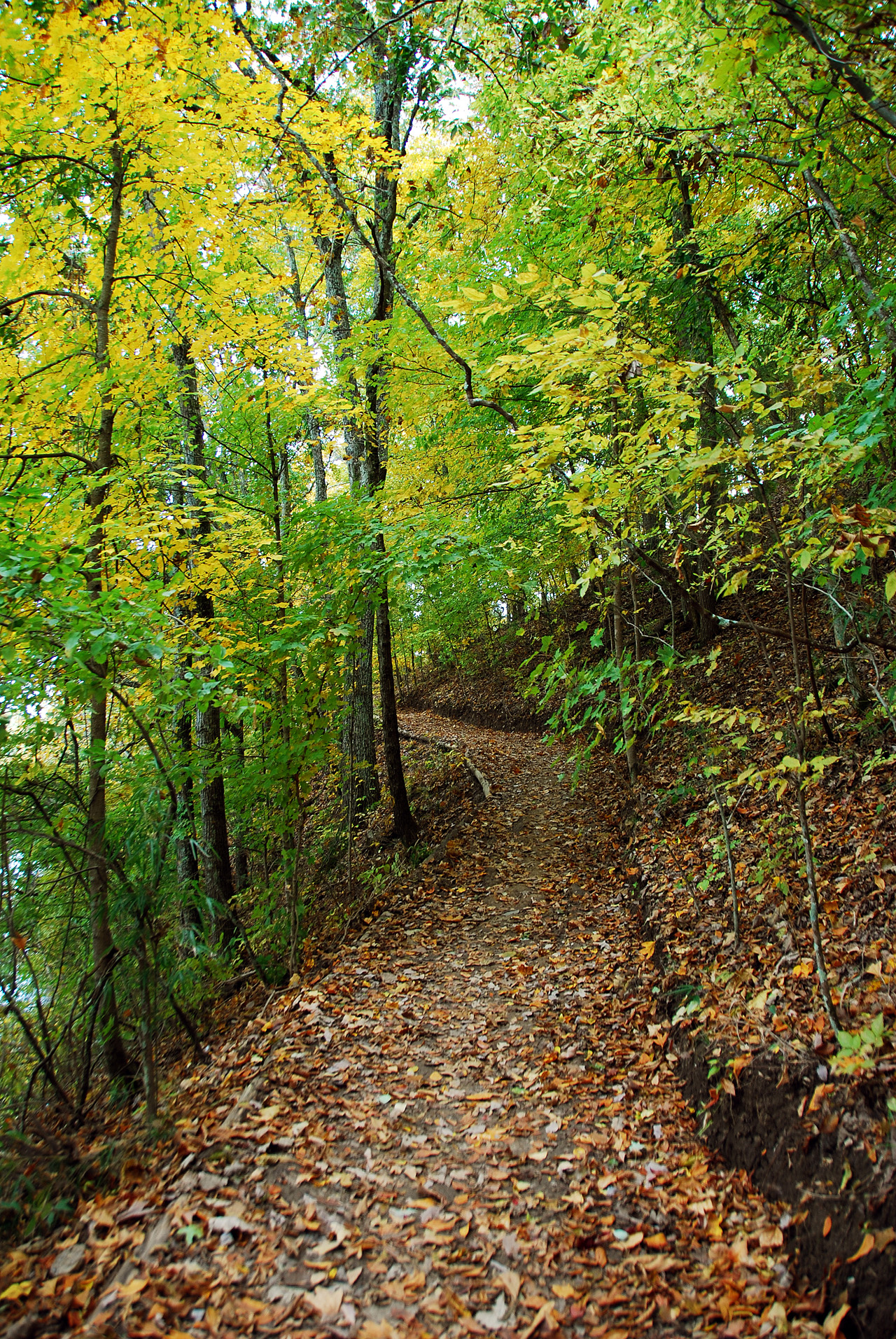 2012-10-16, 006, Bledsoe State Park