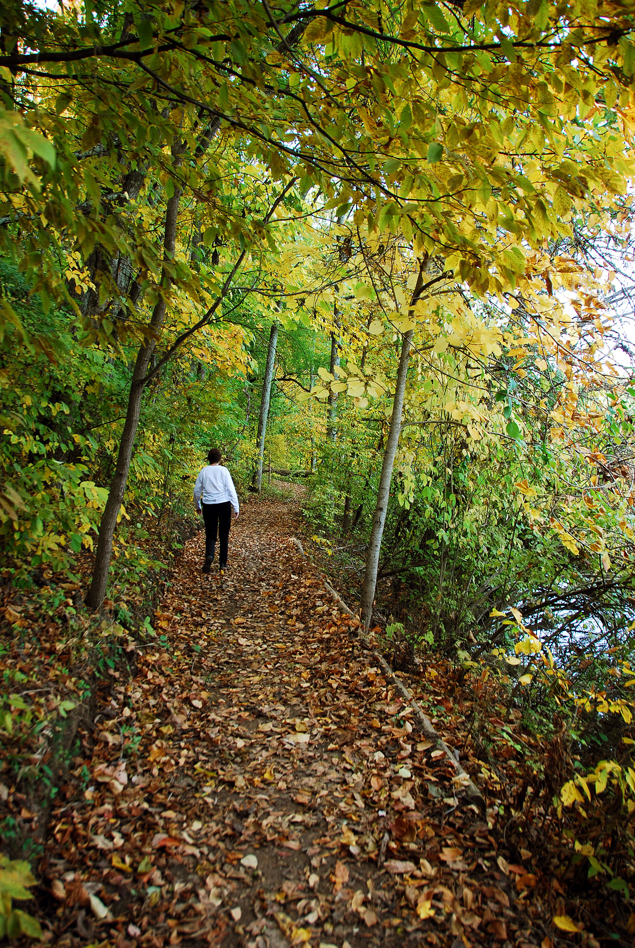 2012-10-16, 007, Bledsoe State Park