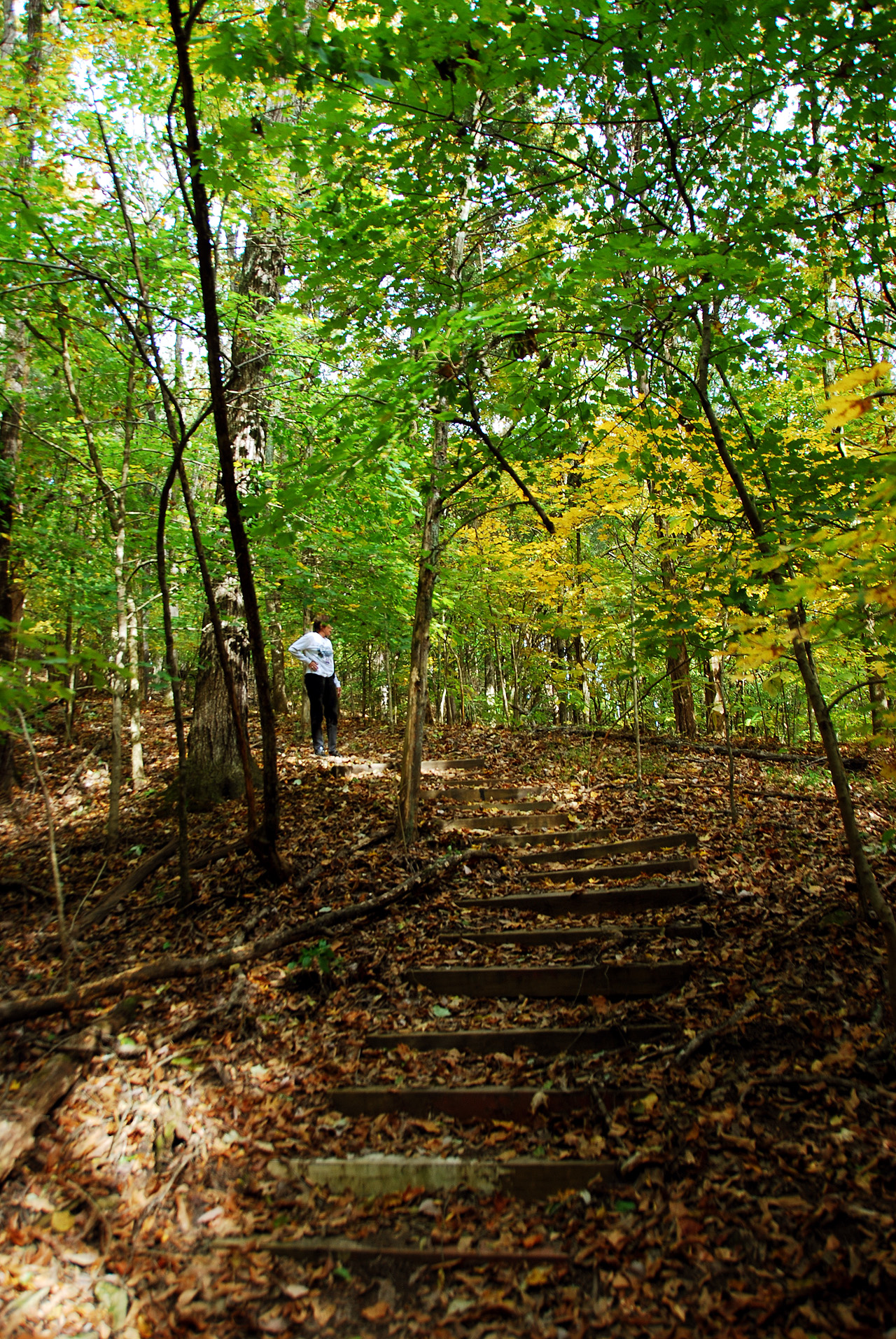 2012-10-16, 008, Bledsoe State Park