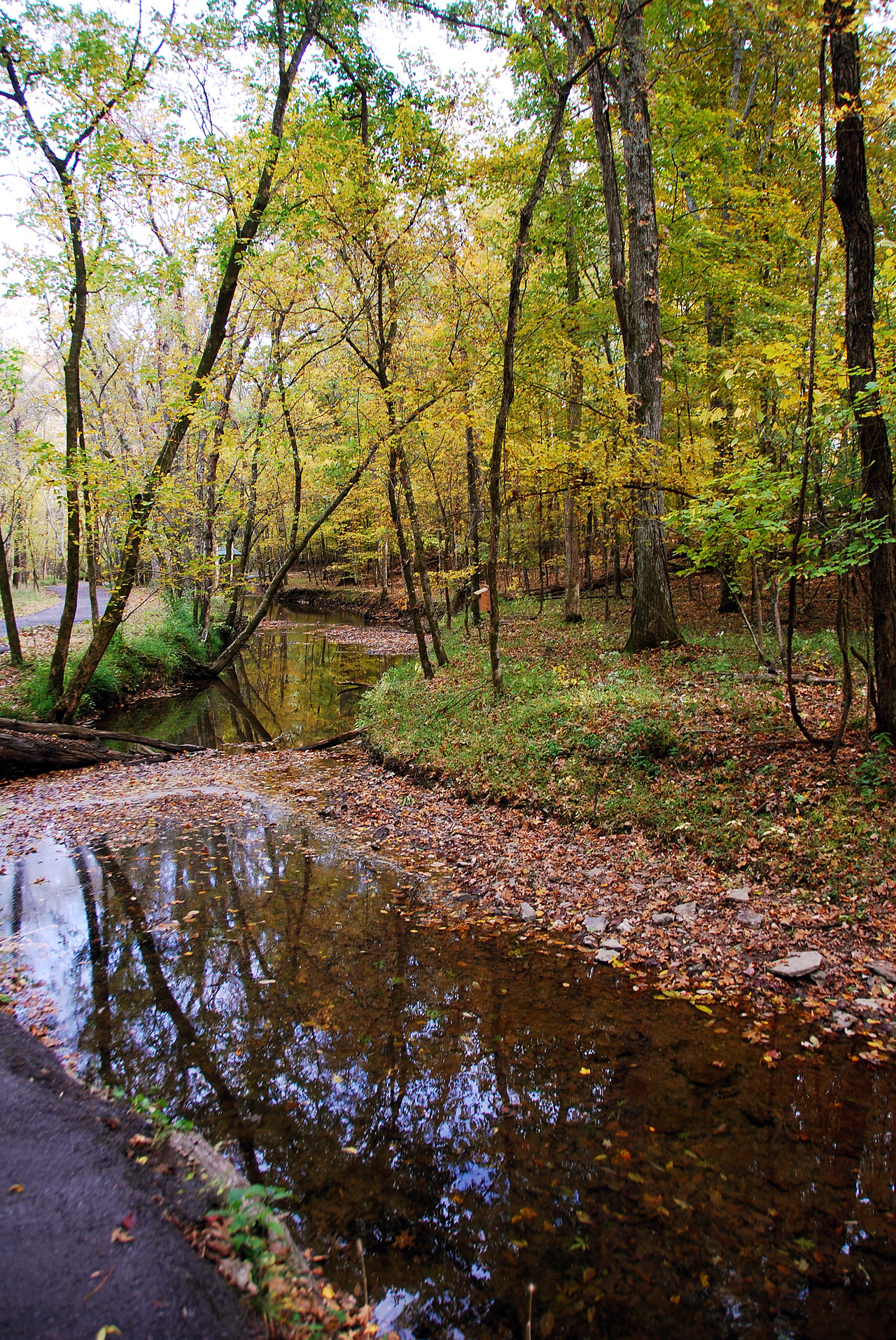 2012-10-16, 011, Bledsoe State Park