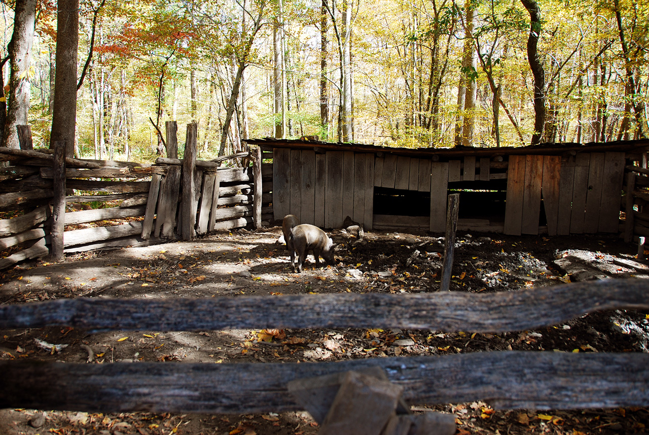 2012-10-19, 009, Great Smoky Mountains, NC