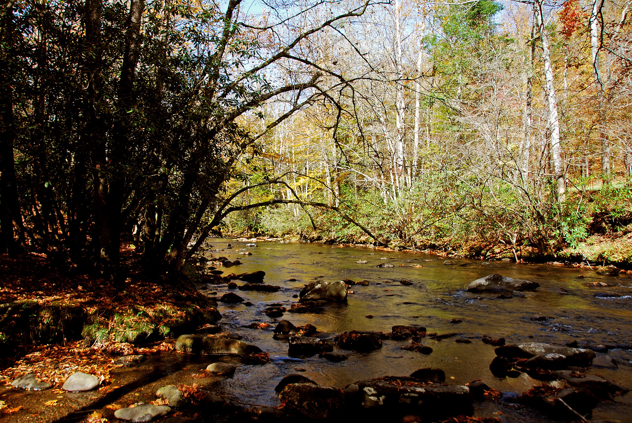 2012-10-19, 017, Great Smoky Mountains, NC