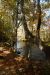 2012-10-19, 016, Great Smoky Mountains, NC