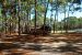 2012-10-27, 002, Crooked River, GA
