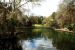 2013-01-16, 006, Wekiwa Springs St Pk