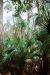 2013-01-16, 009, Wekiwa Springs St Pk