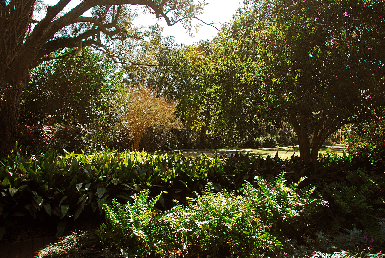 2013-02-15, 003, Bellingrath Gardens, Theodore, AL