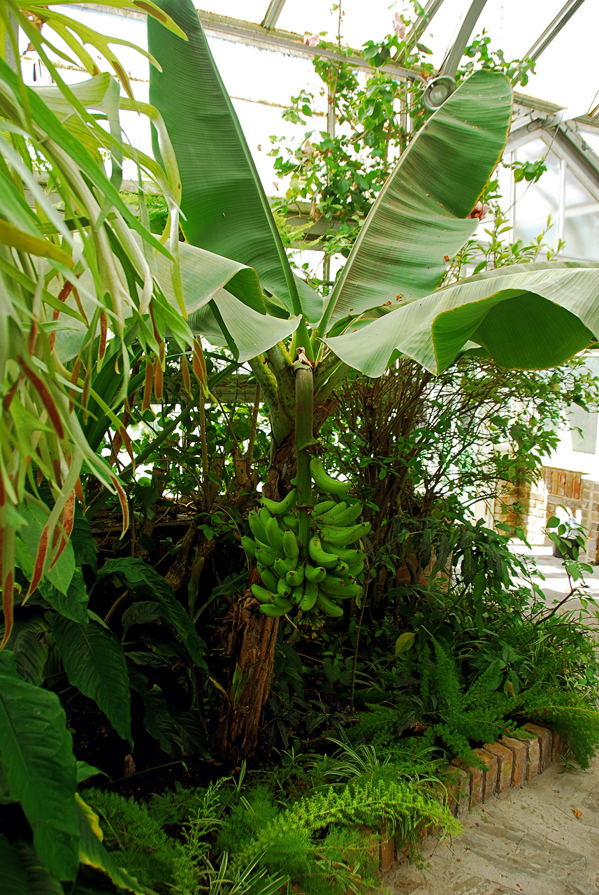 2013-02-15, 011, Bellingrath Gardens, Theodore, AL