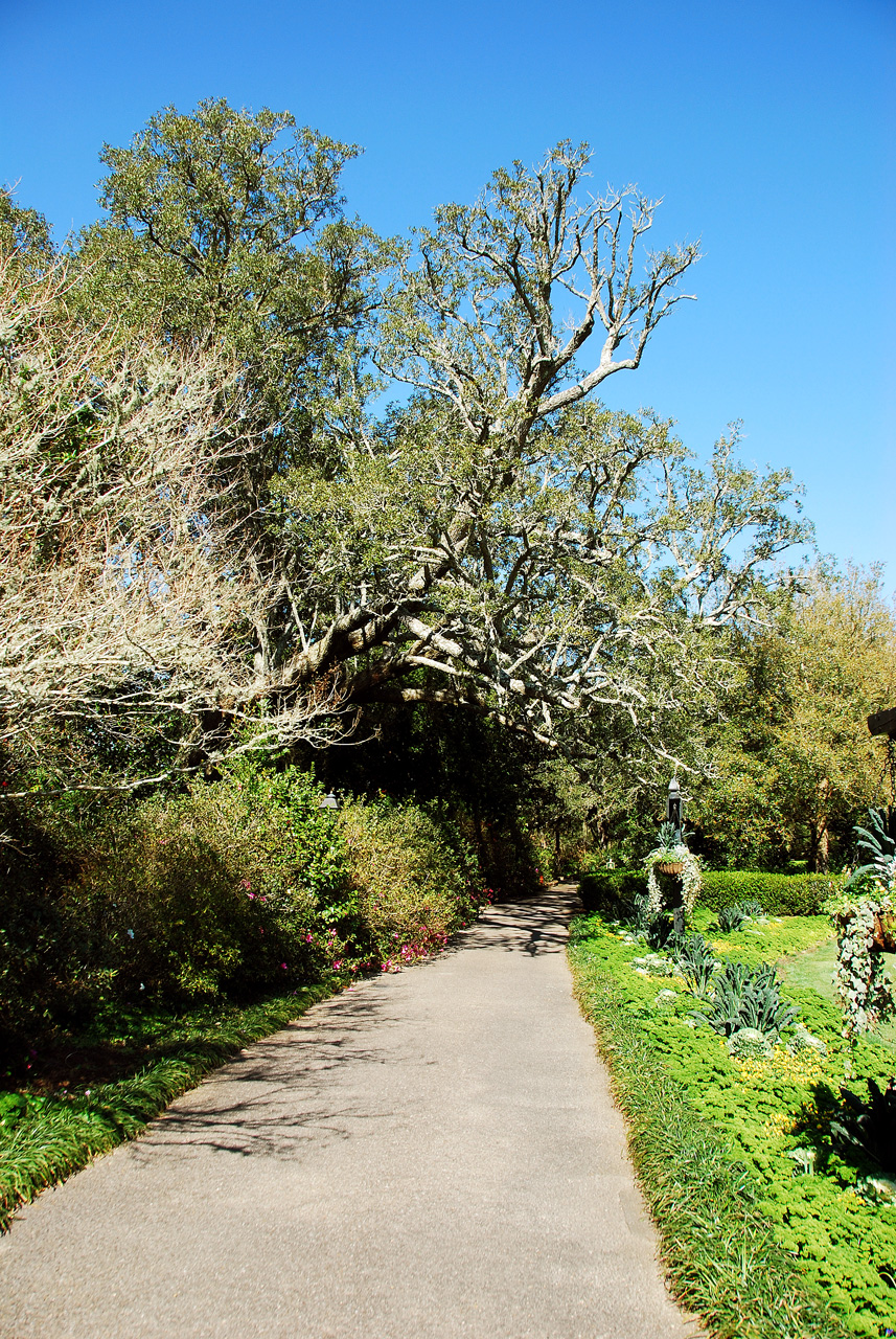2013-02-15, 017, Bellingrath Gardens, Theodore, AL