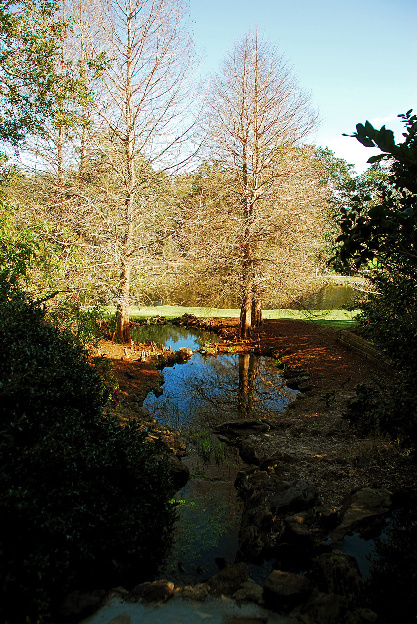 2013-02-15, 060, Bellingrath Gardens, Theodore, AL