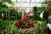 2013-02-15, 007, Bellingrath Gardens, Theodore, AL