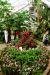 2013-02-15, 008, Bellingrath Gardens, Theodore, AL
