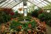 2013-02-15, 009, Bellingrath Gardens, Theodore, AL