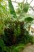 2013-02-15, 011, Bellingrath Gardens, Theodore, AL
