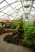 2013-02-15, 012, Bellingrath Gardens, Theodore, AL