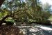 2013-02-15, 037, Bellingrath Gardens, Theodore, AL