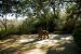 2013-02-15, 061, Bellingrath Gardens, Theodore, AL
