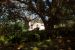 2013-02-15, 065, Bellingrath Gardens, Theodore, AL