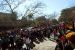 2013-02-09, 007, Mardi-Gras, Pensacola, FL
