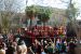 2013-02-09, 112, Mardi-Gras, Pensacola, FL