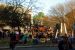 2013-02-09, 163, Mardi-Gras, Pensacola, FL