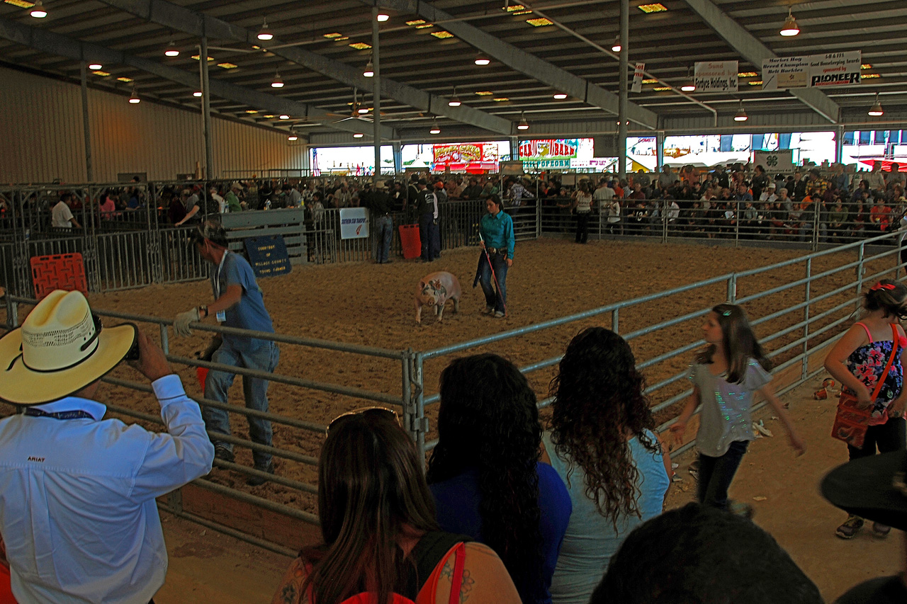 2013-03-15, 049, RGV Livestock, Mercedes, TX