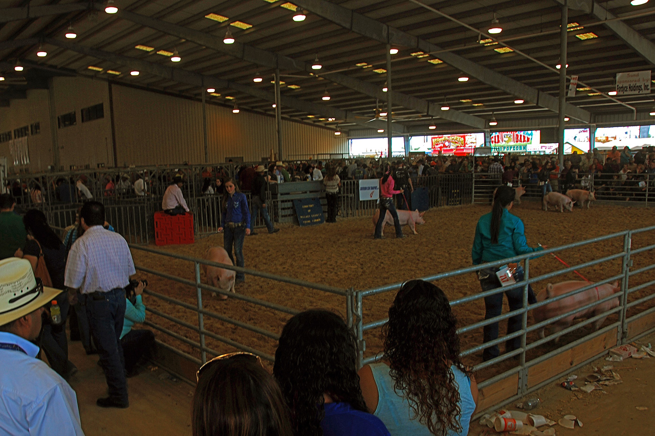 2013-03-15, 051, RGV Livestock, Mercedes, TX