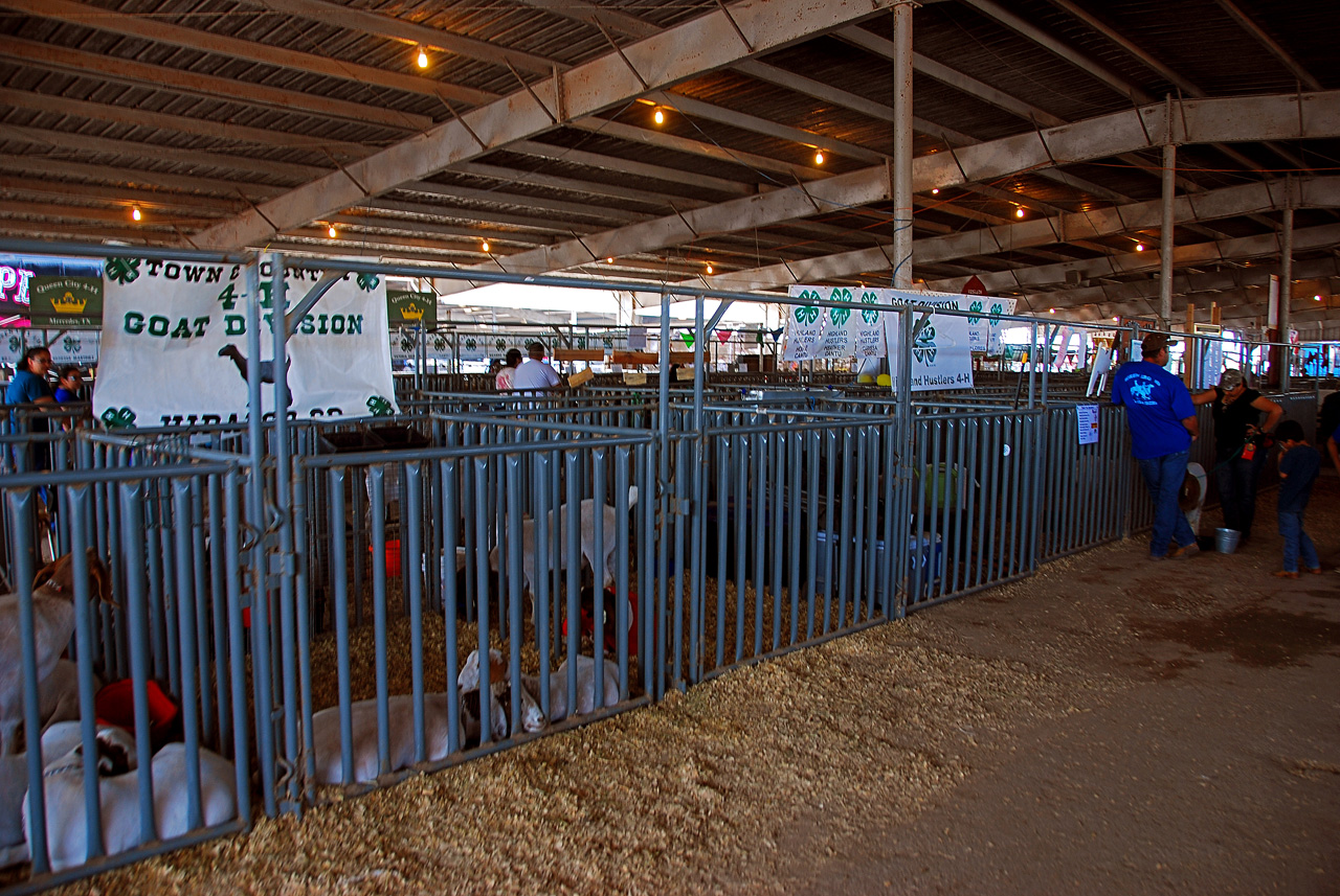 2013-03-15, 057, RGV Livestock, Mercedes, TX