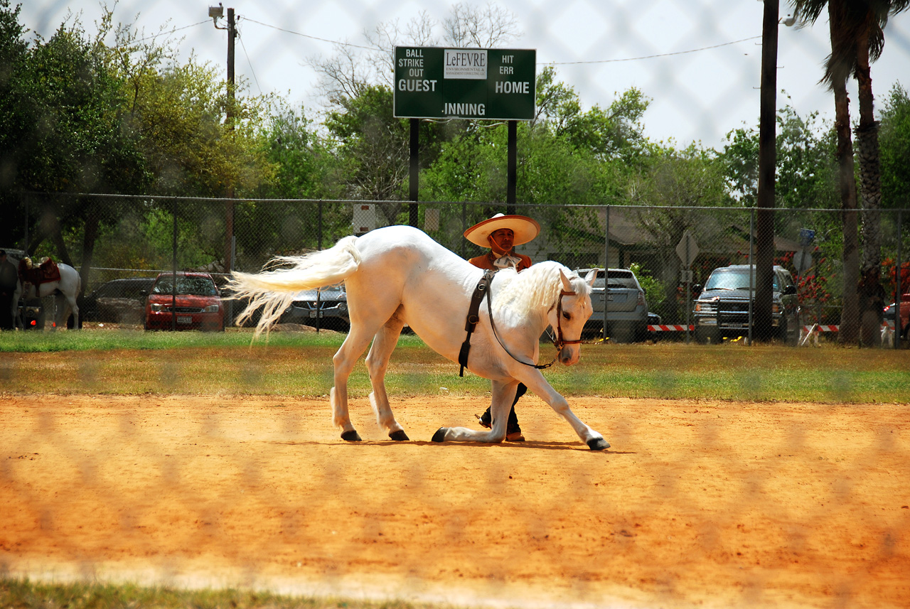 2013-03-24, 022, Onion Fest, Weslaco, TX