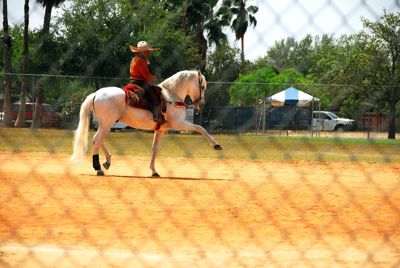 2013-03-24, 027, Onion Fest, Weslaco, TX