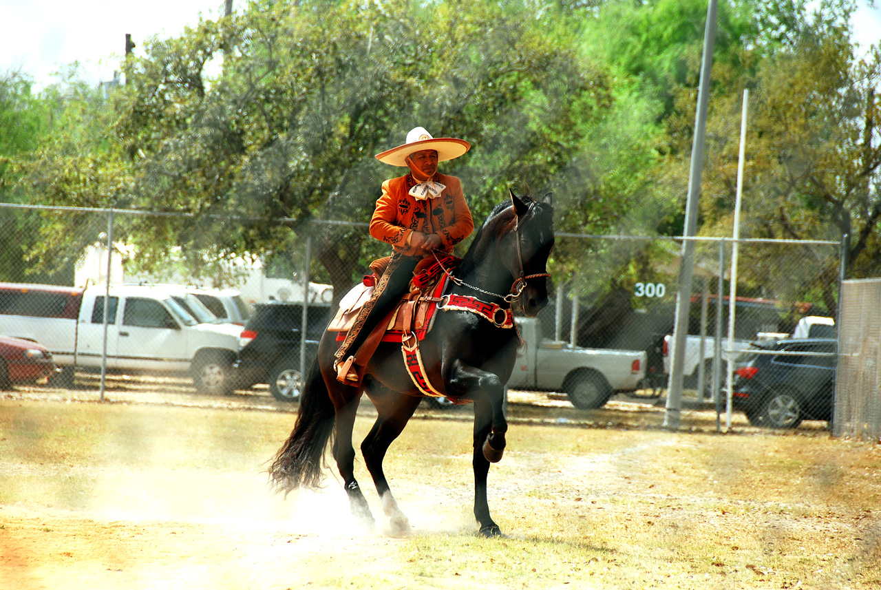 2013-03-24, 072, Onion Fest, Weslaco, TX